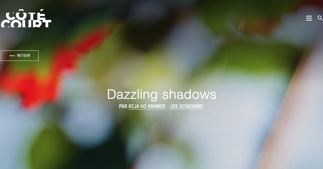 Dazzling Shadows va a Parigi al Cotè Court