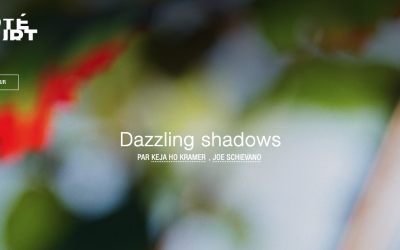 Dazzling Shadows goes to Paris