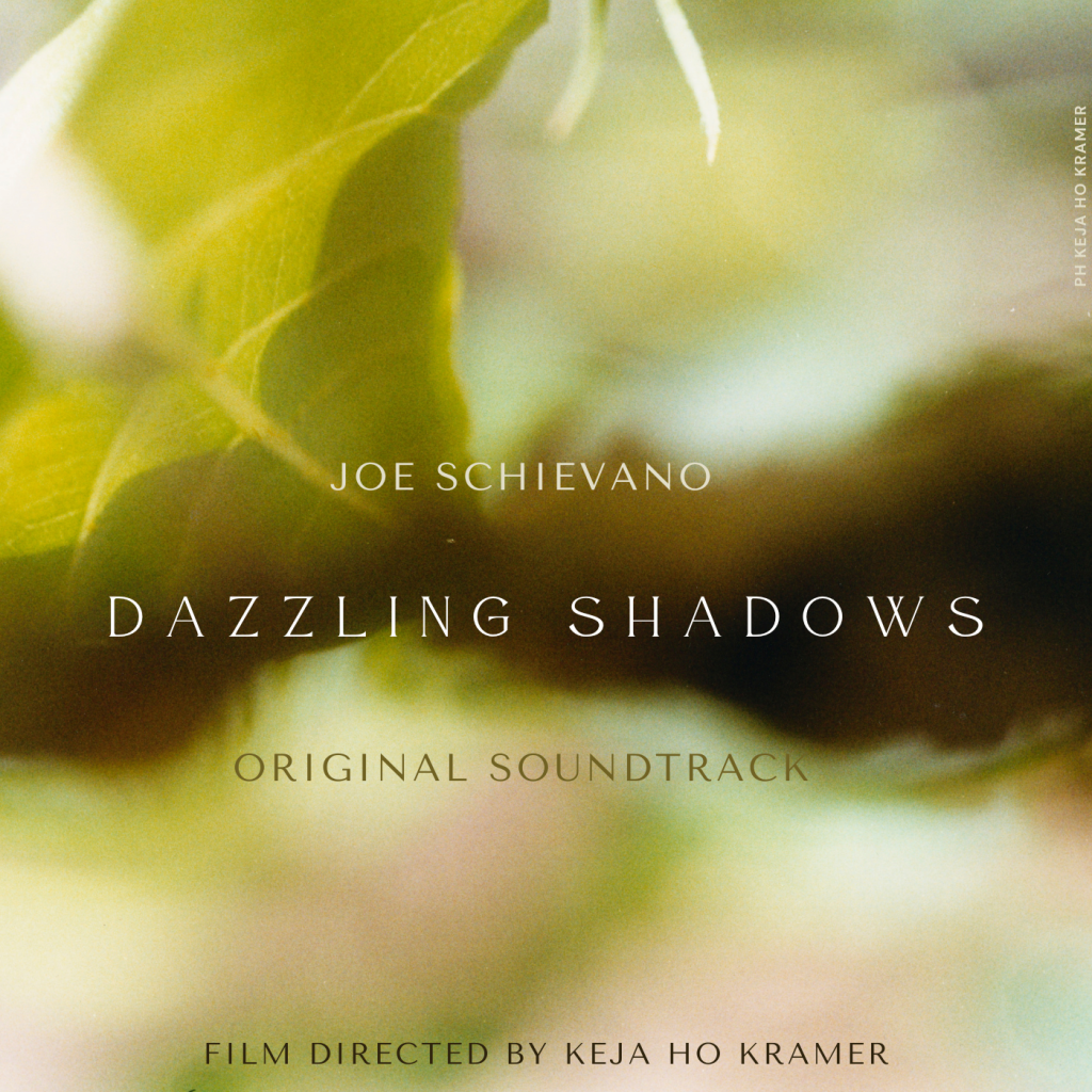 Dazzling Shadows l'album della colonna sonora originale di Joe Schievano